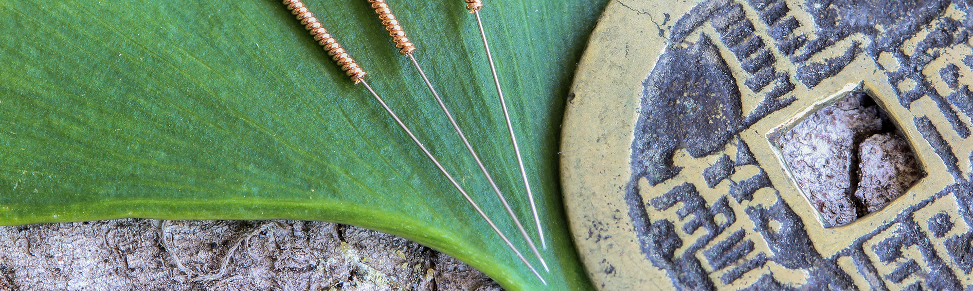 Acupuncture needles on an ancient chinese bronz coin and green ginkgo leaf
