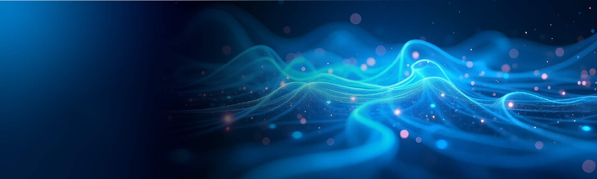 top banner for site