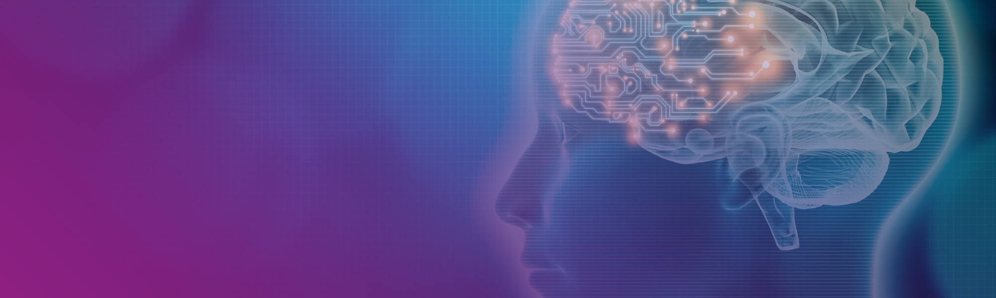 International Bioethics Conference 2024 LUniversità ta' Malta