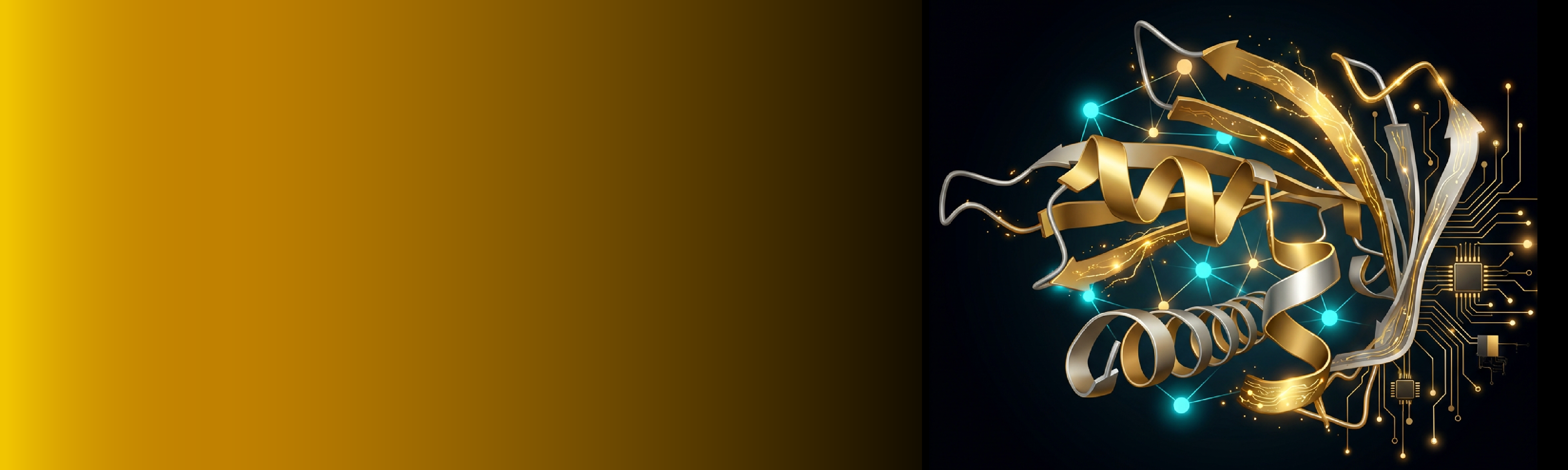 top banner photo