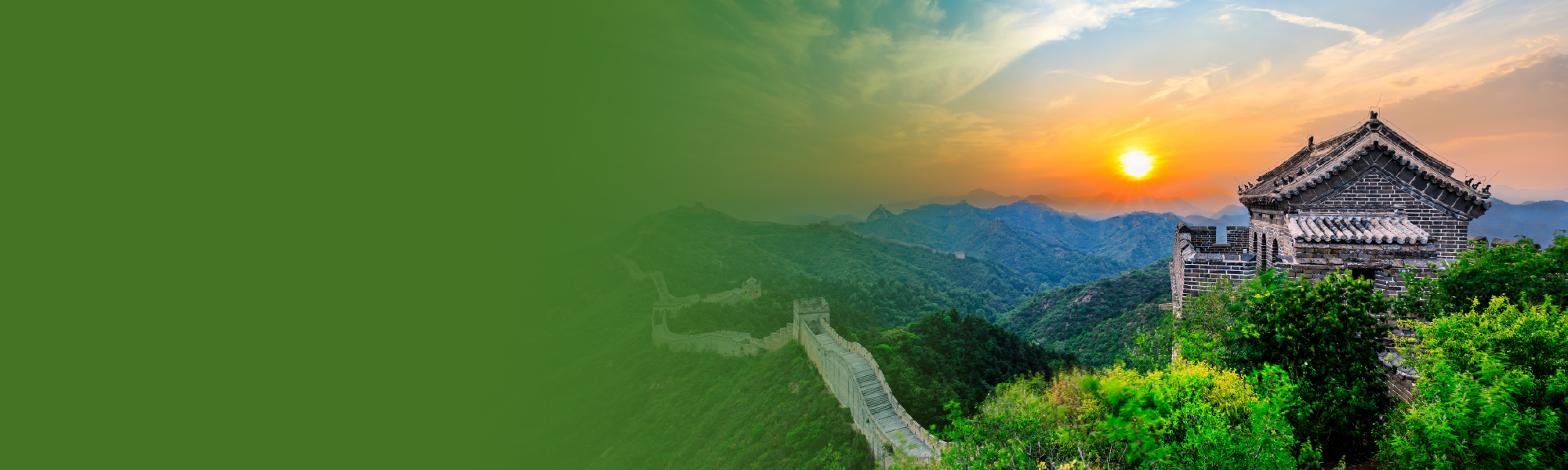 details regarding programme