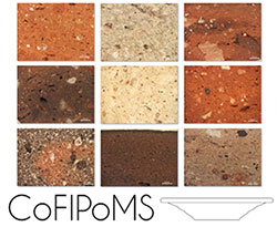 logo of the CoFiPoMS project