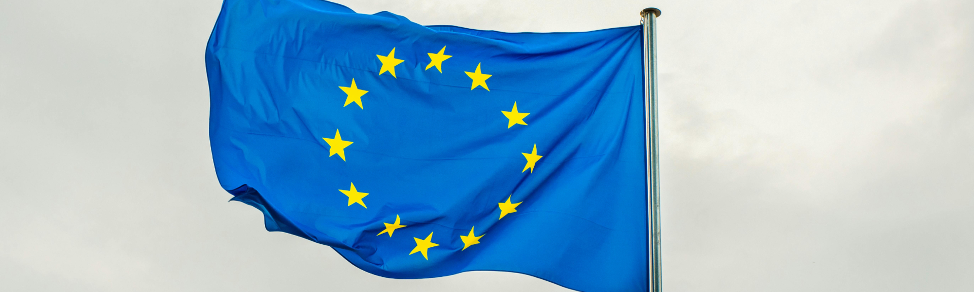 EU Flag Swaying with the Wind