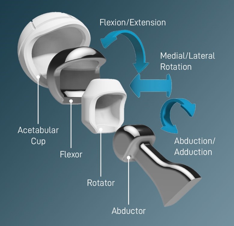 Components of the MaltaHip prosthesis