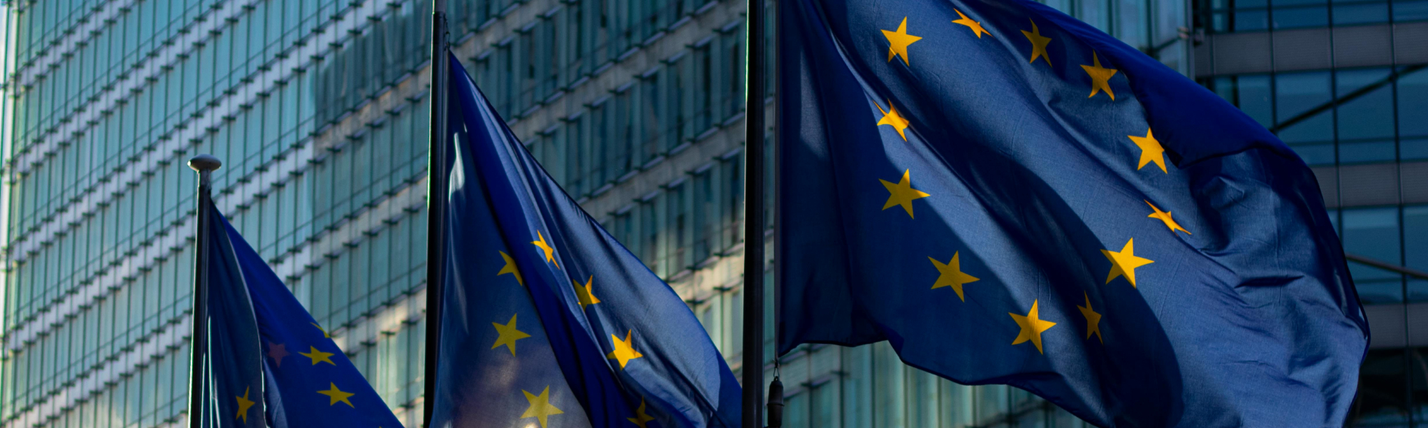 EU Flag Swaying with the Wind