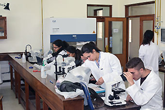 Students in the laboratory