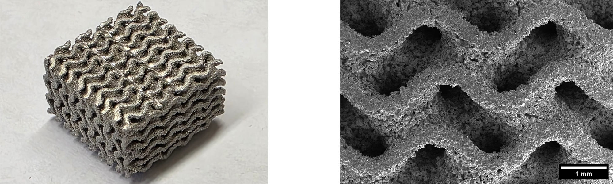 OsteoMag 3D Figures