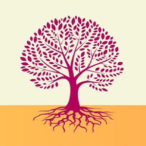 Making Space for Stillness