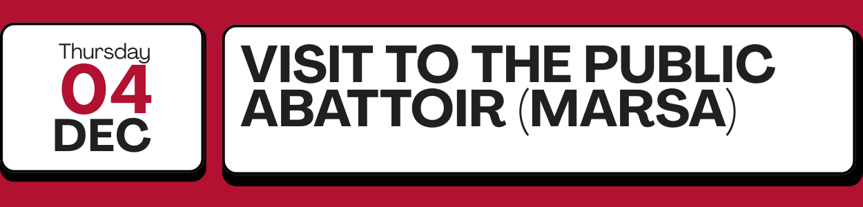 Thursday 04 Cultural Tour