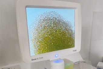 Microalgae Research