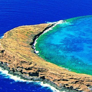 biodiversity in sids