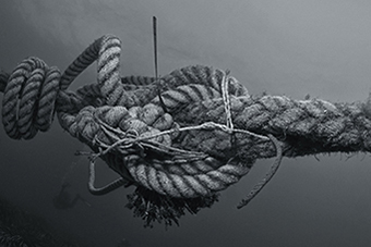 Greyscale image of a rope knot