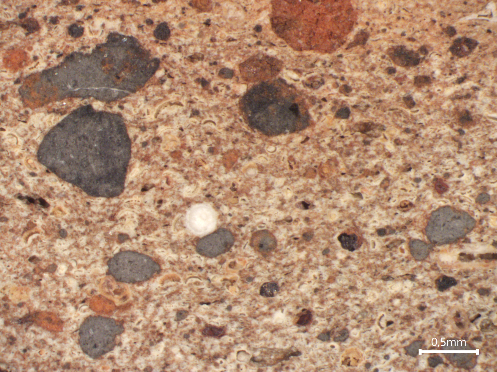 microphotograph of pottery sherd