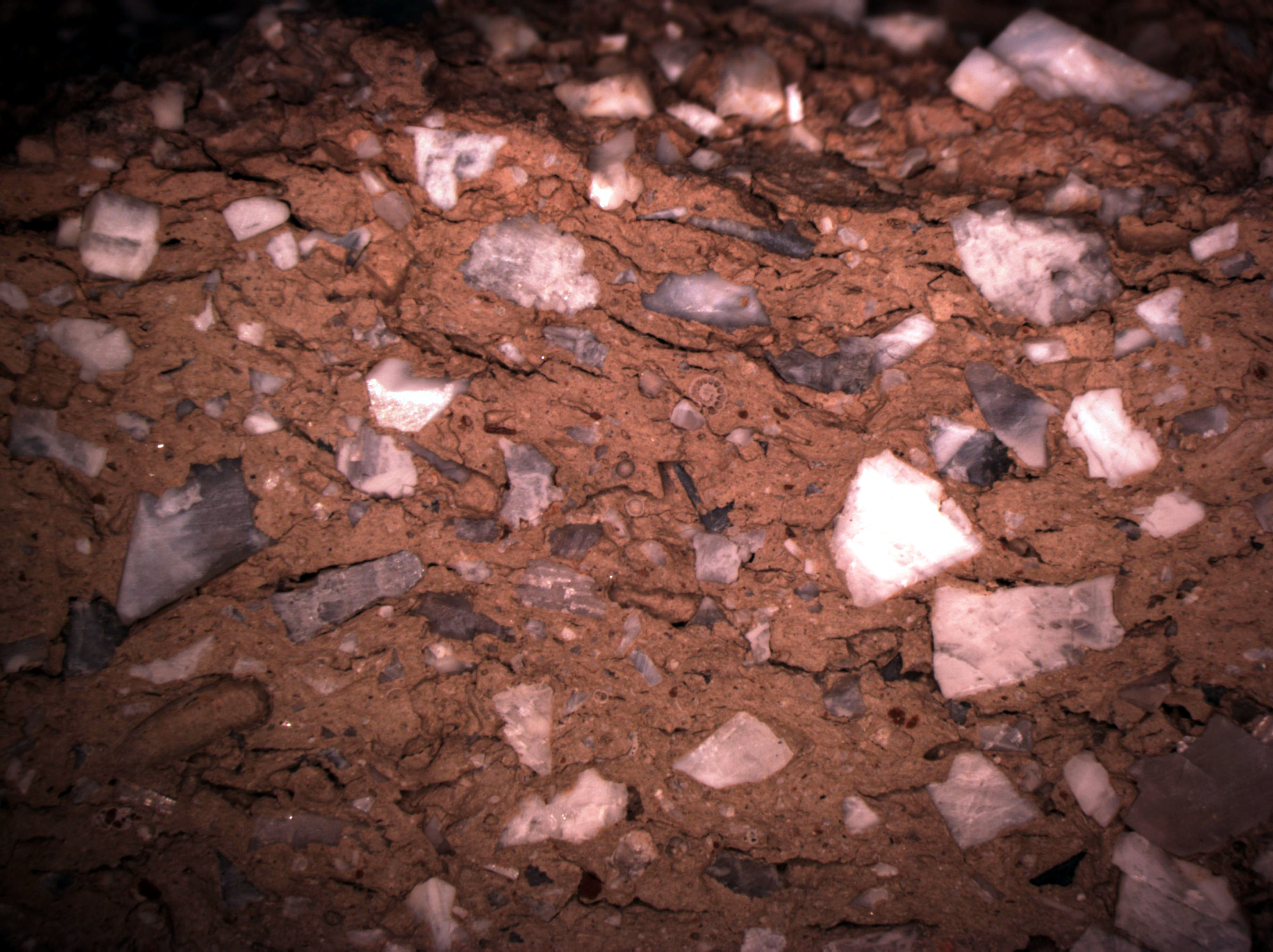 microphotograph of pottery sherd