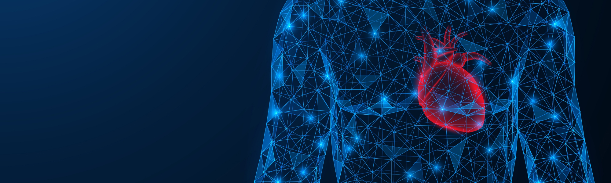 The human heart. Torso with an internal organ. A low-poly model of interconnected lines and points. Blue background.