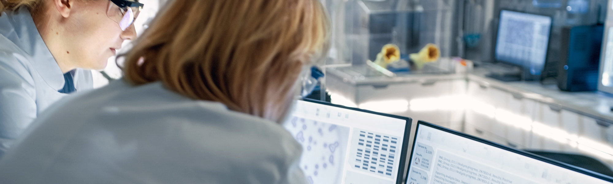 Two bioinformaticians analysing results