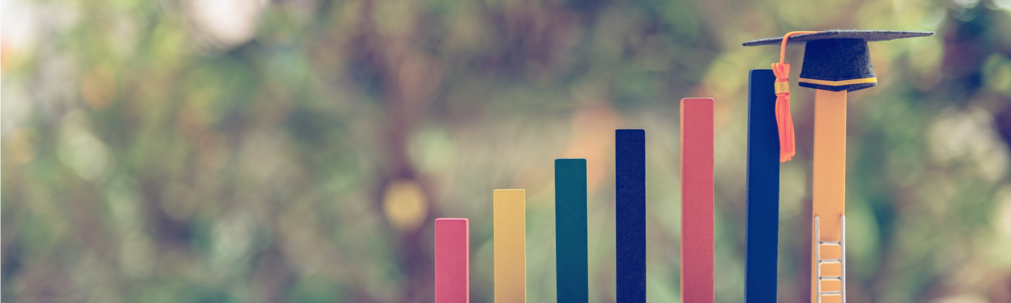 A series of coloured sticks of different height in ascending order on a blurred background
