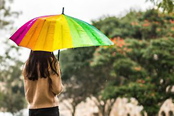 A person with an umbrella walking towards some trees