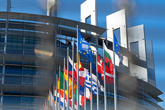 The flags of the EU countries and a building at the background